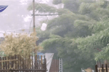 Bão Molave gây mưa gió dữ dội ở Philippines, 9 người thiệt mạng