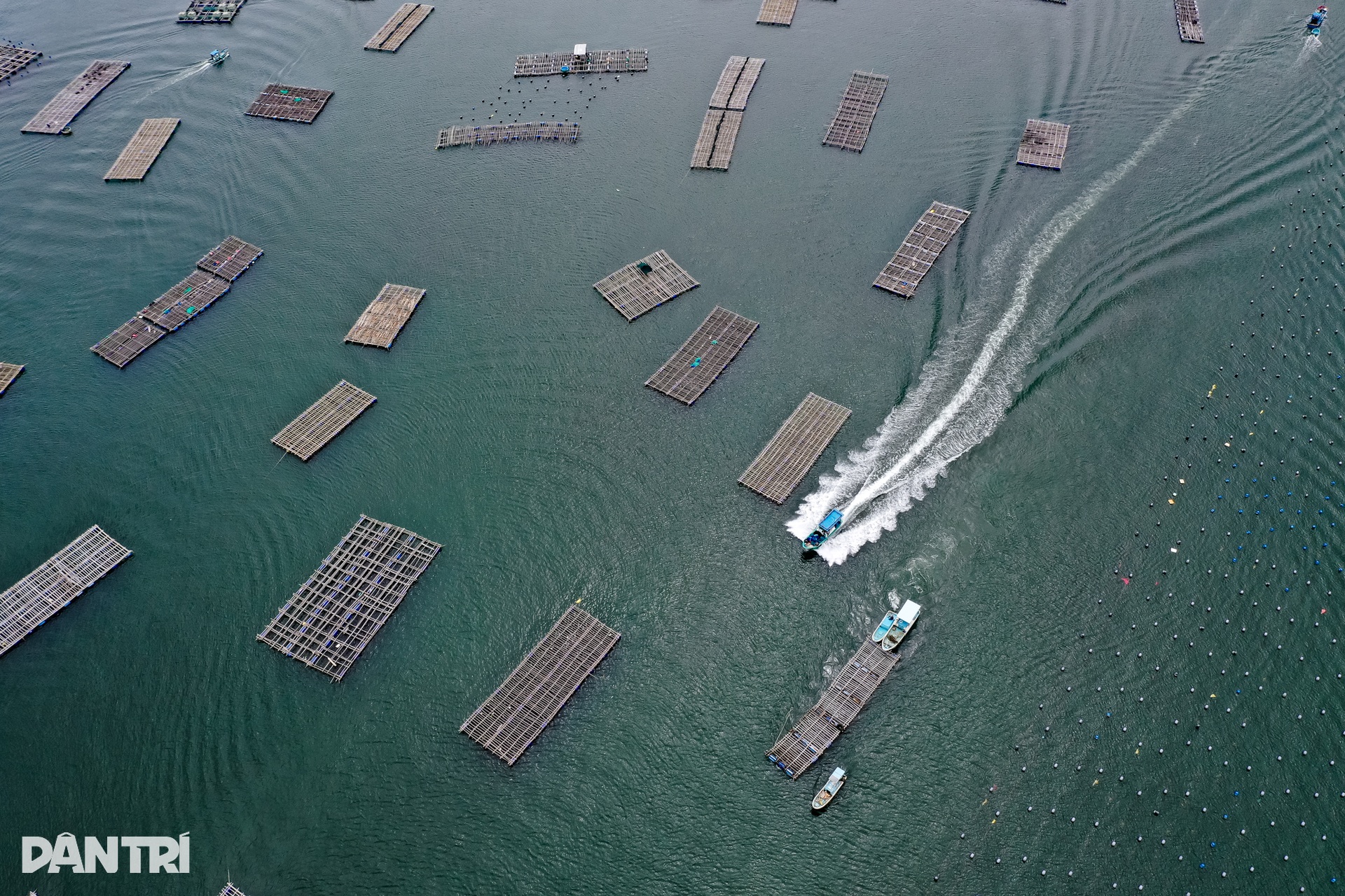 Ngư dân thủ phủ tôm hùm Việt Nam hối hả thu hoạch chạy bão Kalmaegi  - 12