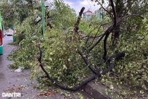 Địa phương nào hứng bão Yagi đầu tiên?