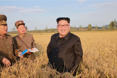 Kinh tế Triều Tiên “thay da đổi thịt” dưới thời ông Kim Jong-un