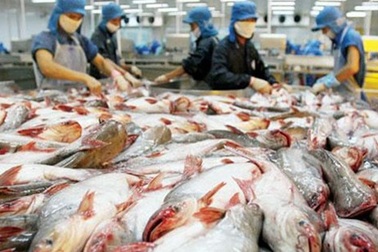 1.000 doanh nghiệp thực phẩm "rớt" khỏi danh sách xuất khẩu vào Mỹ