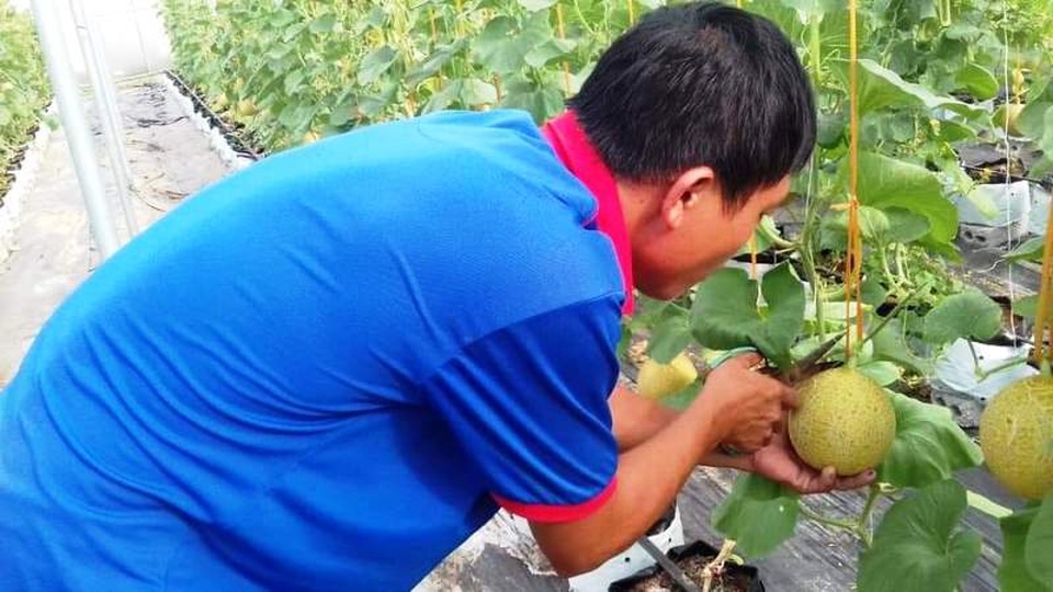 Nghệ An: Tạo việc làm và thu nhập từ đào tạo nghề nông thôn - 3 Nghệ An: Tạo việc làm và thu nhập từ đào tạo nghề nông thôn - 3