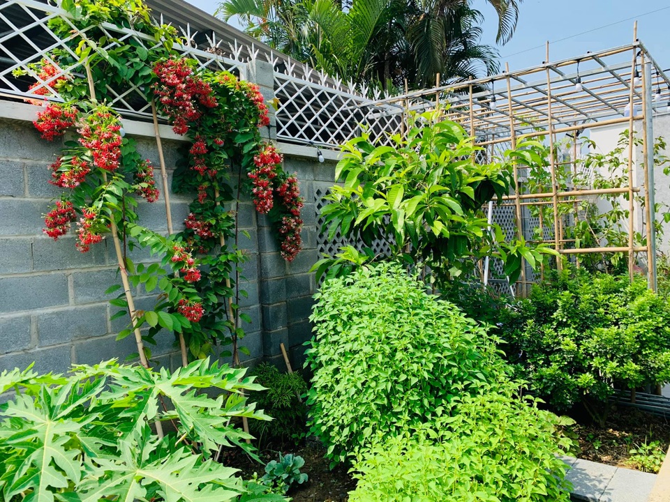 Khu vườn 720m2 đẹp như resort thu nhỏ người chồng tặng vợ ở Đồng Nai - 7 Khu vườn 720m2 đẹp như resort thu nhỏ người chồng tặng vợ ở Đồng Nai - 7