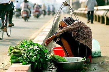 Cư dân mạng rơi lệ về câu chuyện bà lão bán rau