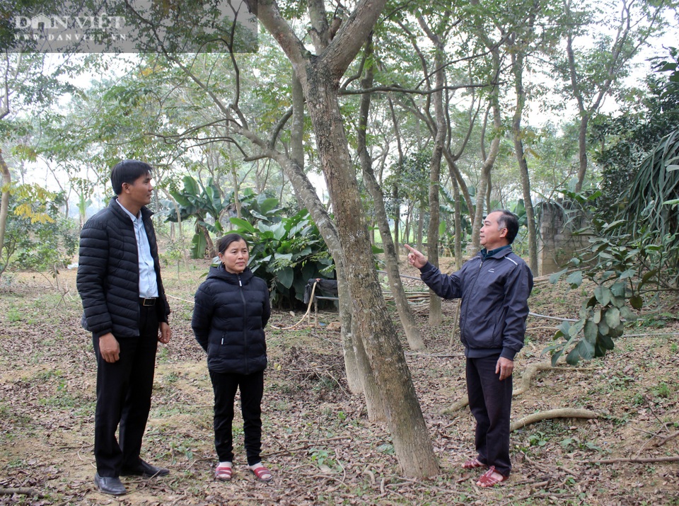 Vùng đất nông dân toàn chôn kho báu ngoài vườn, hễ ra ngõ là gặp tỷ phú - 3 Vùng đất nông dân toàn chôn kho báu ngoài vườn, hễ ra ngõ là gặp tỷ phú - 3