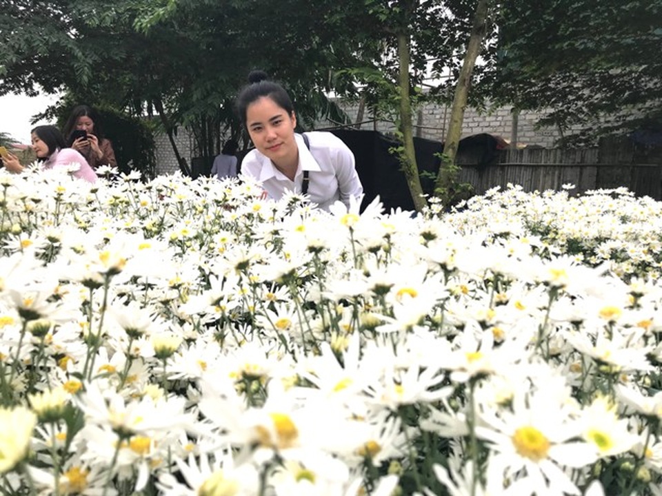 Mua đất từ thủ đô về Thanh Hóa trồng cúc họa mi, kiếm bộn tiền - 2 Mua đất từ thủ đô về Thanh Hóa trồng cúc họa mi, kiếm bộn tiền - 2