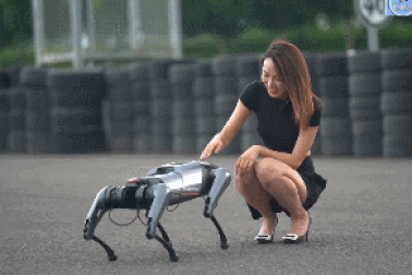 Xiaomi ra mắt CyberDog, chú chó robot có khả năng nhào lộn