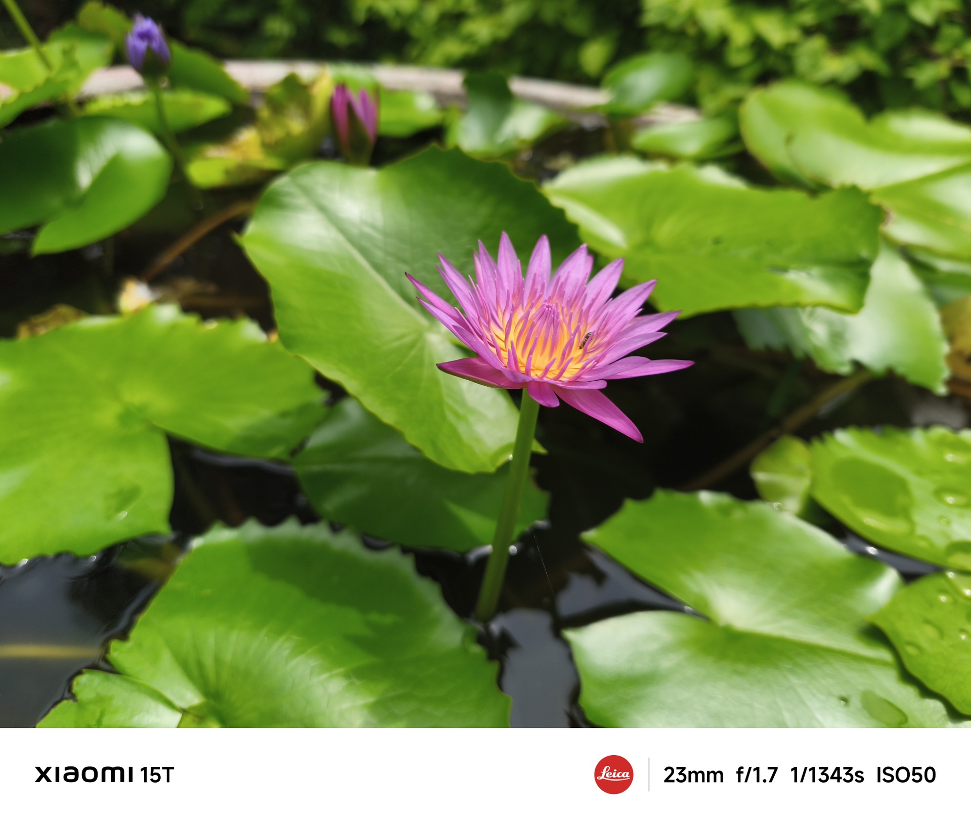 Xiaomi 15T Review៖ ប្រកួតប្រជែងជាមួយ Samsung Galaxy S25 FE, OPPO Reno14 - 7 Đánh giá Xiaomi 15T: Cạnh tranh Samsung Galaxy S25 FE, OPPO Reno14 - 7