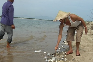 Thêm một công ty có khả năng bị kiện vì gây ô nhiễm