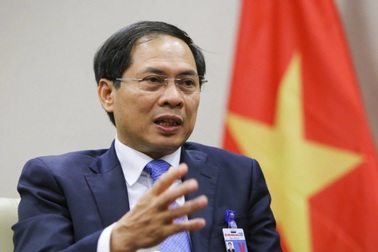 Bộ trưởng Ngoại giao nói việc Việt Nam tham gia sân chơi "đấu trí" cam go