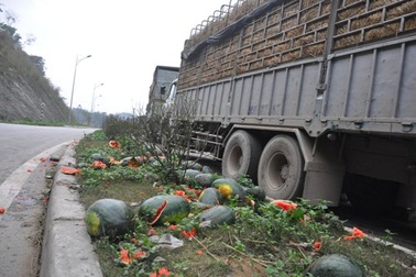 Huy động tổng lực “giải cứu” nông sản