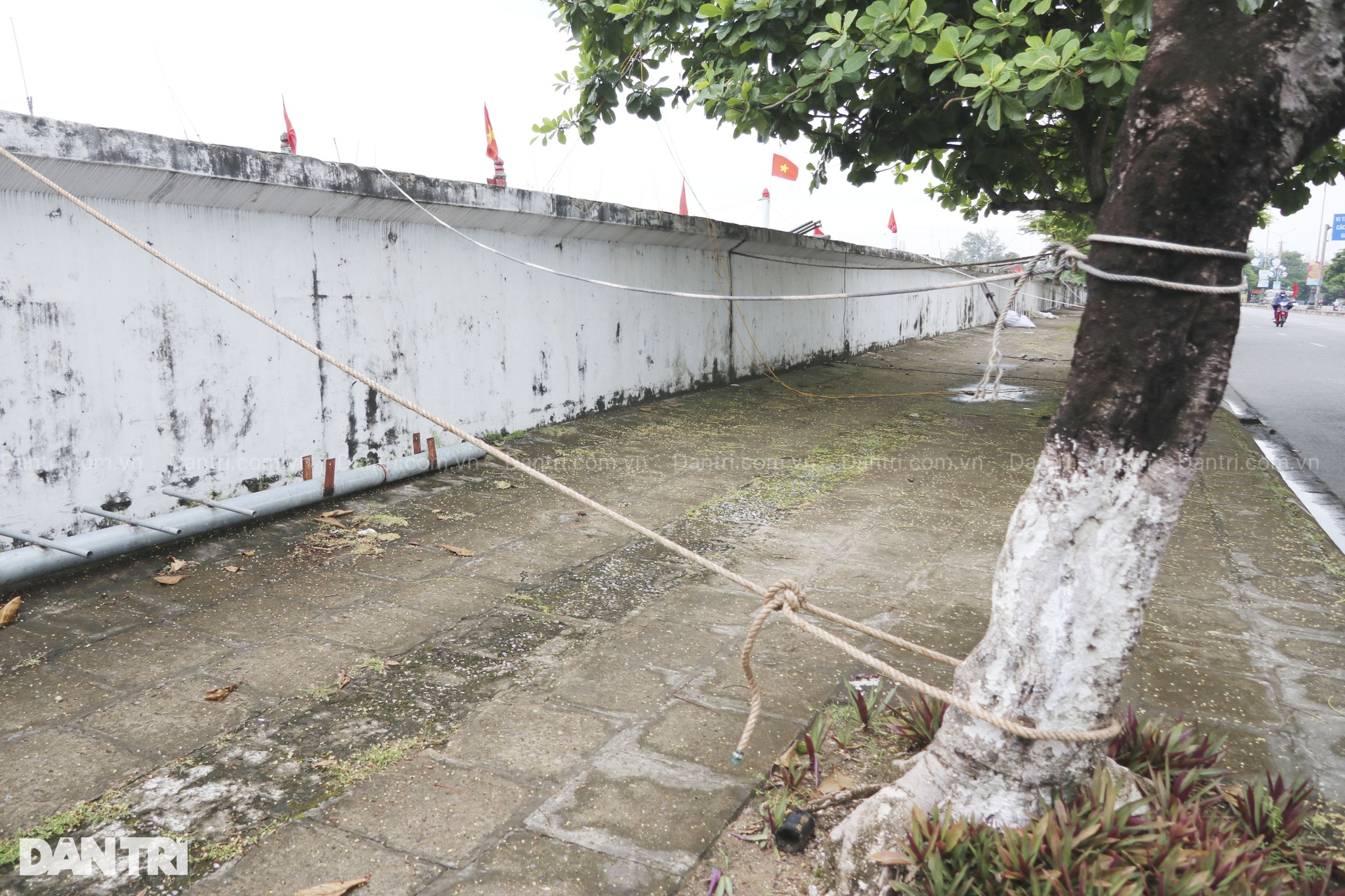 Ngư dân Hải Phòng lo lắng trước khi bão Yagi đổ bộ vào đất liền - 11 Ngư dân Hải Phòng lo lắng trước khi bão Yagi đổ bộ vào đất liền - 11