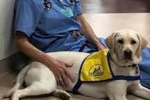 Nhân vật đặc biệt vực dậy tinh thần y bác sĩ chống dịch tại Mỹ