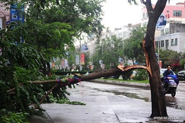 Cơn bão thứ 2 trong tuần đổ bộ vào Trung Quốc