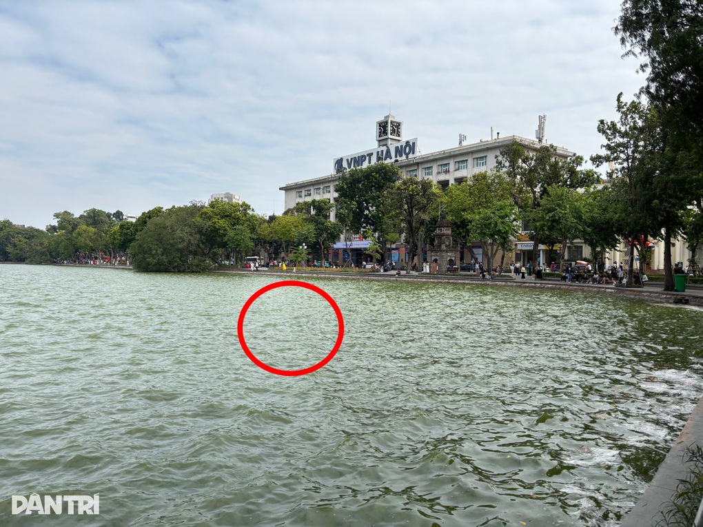 Vụ cô gái đuối nước ở hồ Hoàn Kiếm: Trách người Hà Nội vô cảm, có vội vàng? - 2 Vụ cô gái đuối nước ở hồ Hoàn Kiếm: Trách người Hà Nội vô cảm, có vội vàng? - 2