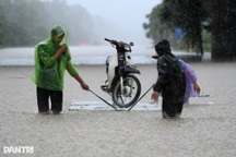 Thiệt hại do bão Kajiki