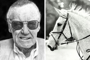 Họa sĩ bị điều tra vì những bức vẽ quá chân thực tới mức bị nghi “lừa đảo”