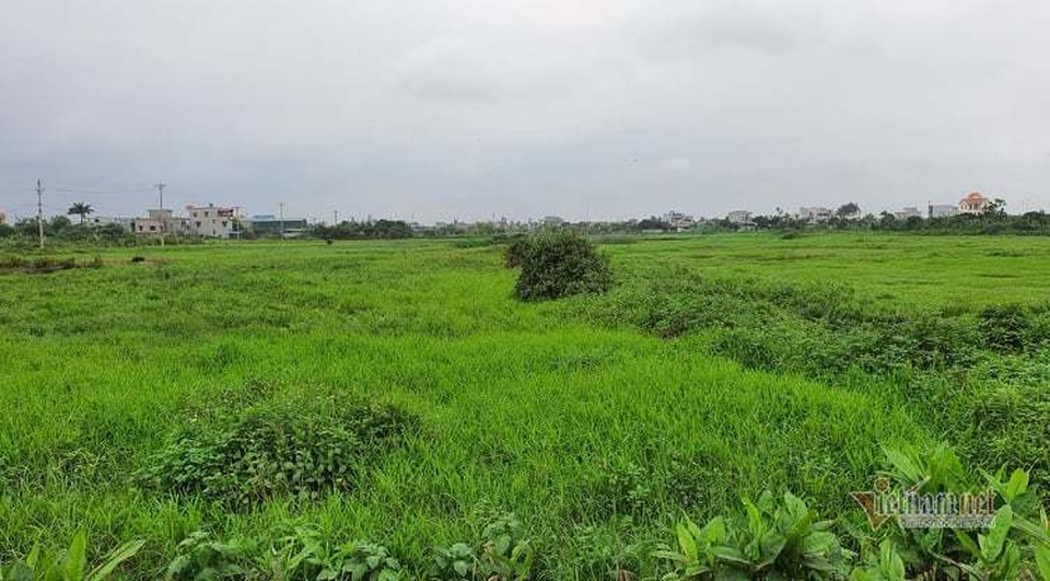 Từ vụ Nguyễn Xuân Đường, lộ lỗ hổng trong đấu giá đất ở Thái Bình - 4 Từ vụ Nguyễn Xuân Đường, lộ lỗ hổng trong đấu giá đất ở Thái Bình - 4
