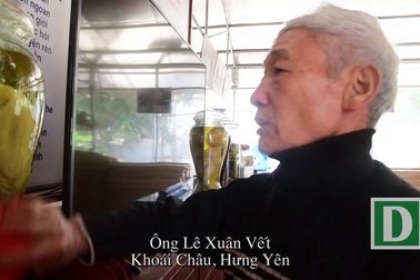 Người đàn ông lưu giữ hai bình rượu ngâm gà Đông Tảo quý hiếm