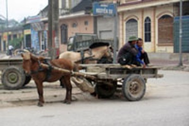 Đìu hiu xe ngựa thời buổi khó khăn
