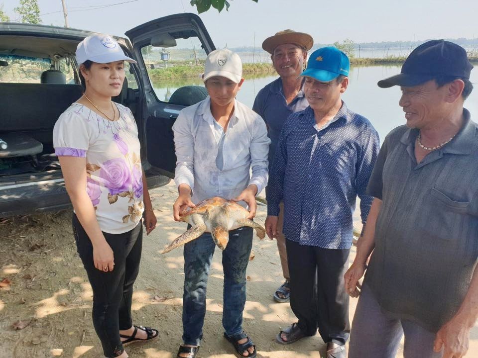 Ngư dân bắt được đồi mồi quý hiếm - 1 Ngư dân bắt được đồi mồi quý hiếm - 1