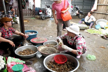 Sợ đồ bẩn: Rau dại, cá đồng bán chạy