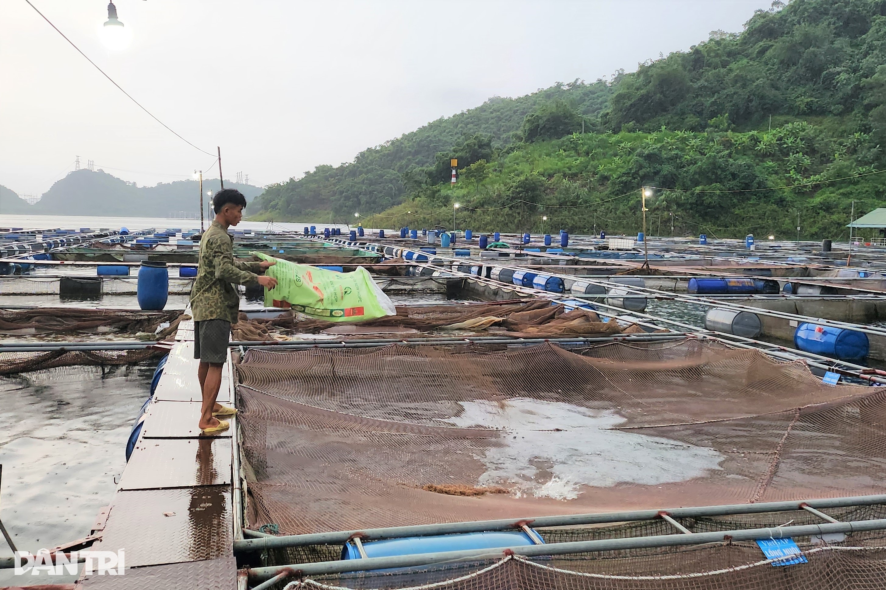 រស់រសាត់កណ្តាលអាងវារីអគ្គិសនី - ៥ Sống lênh đênh giữa lòng hồ thủy điện - 5