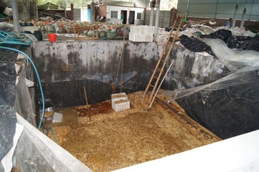 Trung Quốc: Nấm kim châm bị ngâm trong hóa chất cực độc 