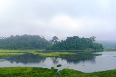 Vườn Quốc gia Cát Tiên mở rộng thêm 10 ngàn ha