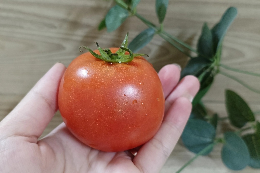 Bà nội trợ choáng váng vì rau đắt như thịt, dè sẻn từng bữa chờ qua bão giá - 1