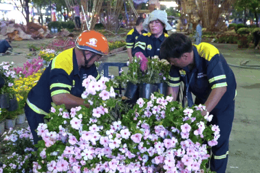 Người dân TPHCM tiếc nuối khi đường hoa Nguyễn Huệ bị tháo dỡ