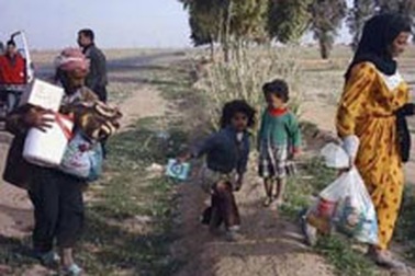 Hàng chục ngàn người Iraq rời bỏ nhà cửa vì bạo lực