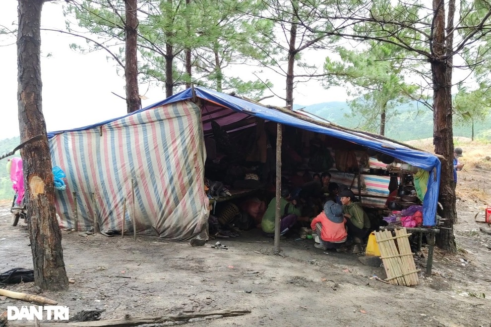 Cặp vợ chồng lang thang trên núi hơn 10 năm để phủ xanh đồi trọc - 5 Cặp vợ chồng lang thang trên núi hơn 10 năm để phủ xanh đồi trọc - 5
