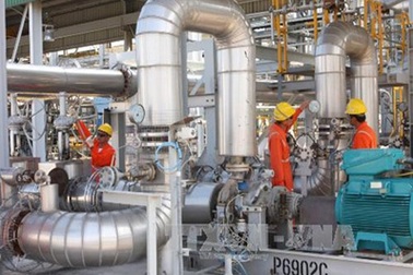 Cấp điện cho miền Nam gặp căng thẳng do ngừng cấp khí Nam Côn Sơn