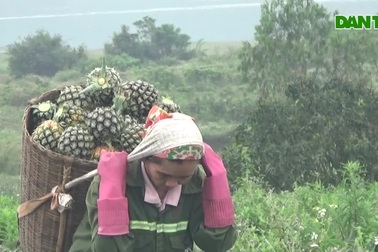 Nữ cửu vạn "làm việc bằng đầu", tính tiền theo tiếng