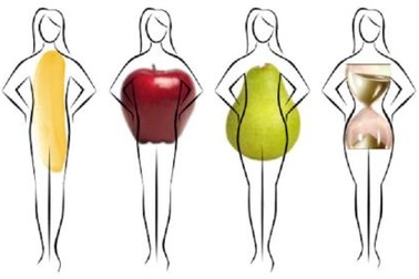 Nguy cơ bệnh tật qua từng loại vóc dáng