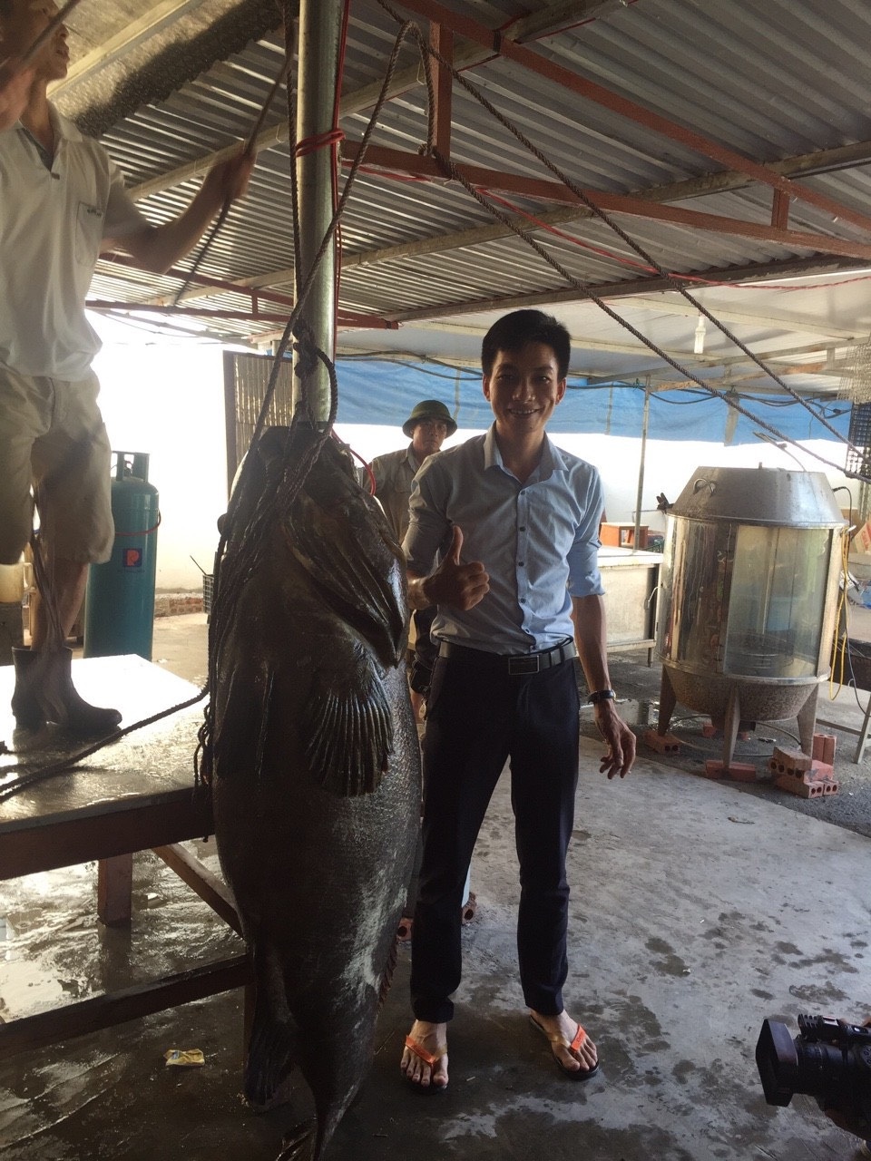 Nhà giàu Việt chi trăm triệu đồng mua cá song vang nặng cả tạ về... ăn gỏi - 1 Nhà giàu Việt chi trăm triệu đồng mua cá song vang nặng cả tạ về... ăn gỏi - 1