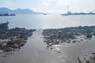 Hơn 2,7 triệu con tôm chết nghi do dự án tập kết 1 triệu khối bùn