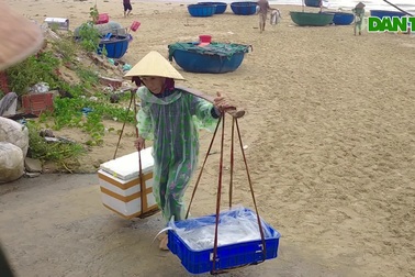 Những nữ phu cá bám biển mưu sinh