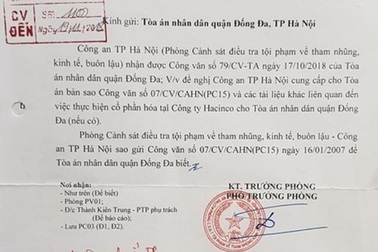 Công an chỉ rõ hàng loạt sai phạm của nguyên Giám đốc Công ty Hacinco