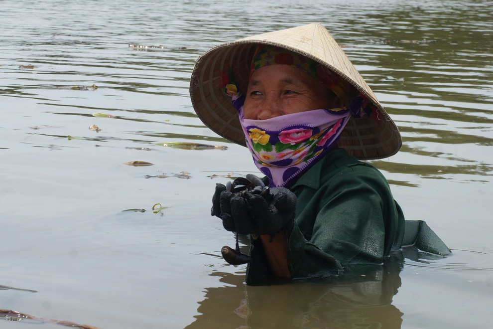 Kiếm tiền triệu mỗi ngày nhờ nghề cào lộc biển - 7 Kiếm tiền triệu mỗi ngày nhờ nghề cào lộc biển - 7