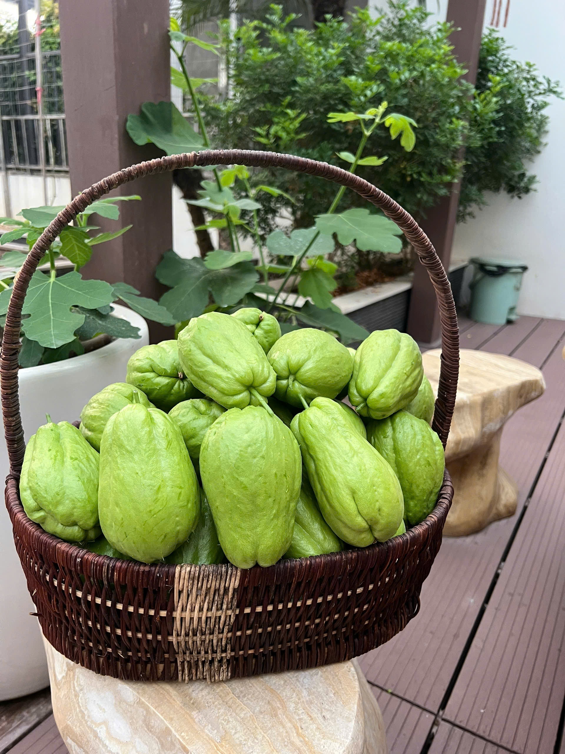 View - Hà Nội: Chồng thiết kế sân thượng 100m2 thành khu vườn trồng rau tặng vợ | Báo Dân trí