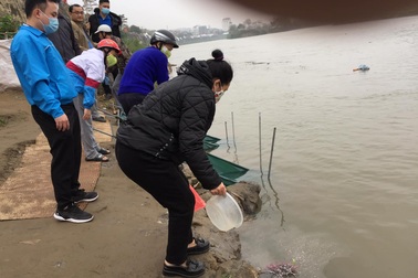 Người dân thả cá phóng sinh xuống thượng nguồn sông Hồng
