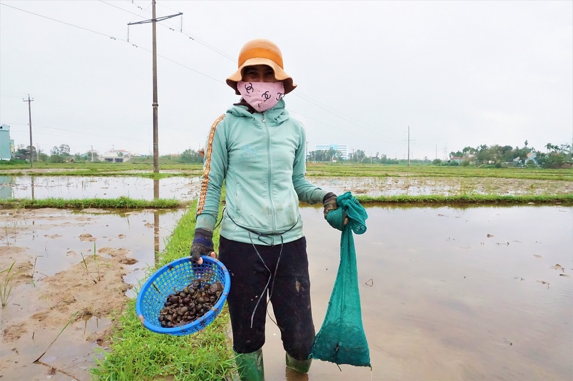 Nông dân lội bùn nhặt tiền trên ruộng - 10 Nông dân lội bùn nhặt tiền trên ruộng - 10
