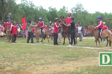 Phú Yên: Sôi động hội đua ngựa truyền thống Gò Thì Thùng