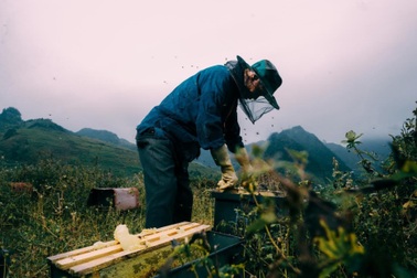 Tinh Hoa Việt đưa mật ong bạc hà Hà Giang đến gần hơn với người dùng Việt