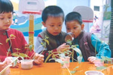 Học trường mầm non tư thục là ý nguyện của nhiều gia đình