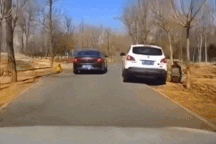 Nữ du khách bị đàn sói bao vây khi ra khỏi xe trong khu bảo tồn động vật