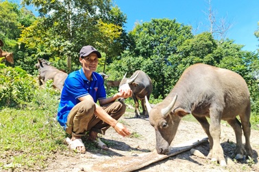 "Tôi muốn sống được từ rừng và suối của bản, không phải đi xa nhà nữa... "