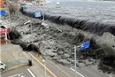 Khúc bi tráng đất nước hoa anh đào